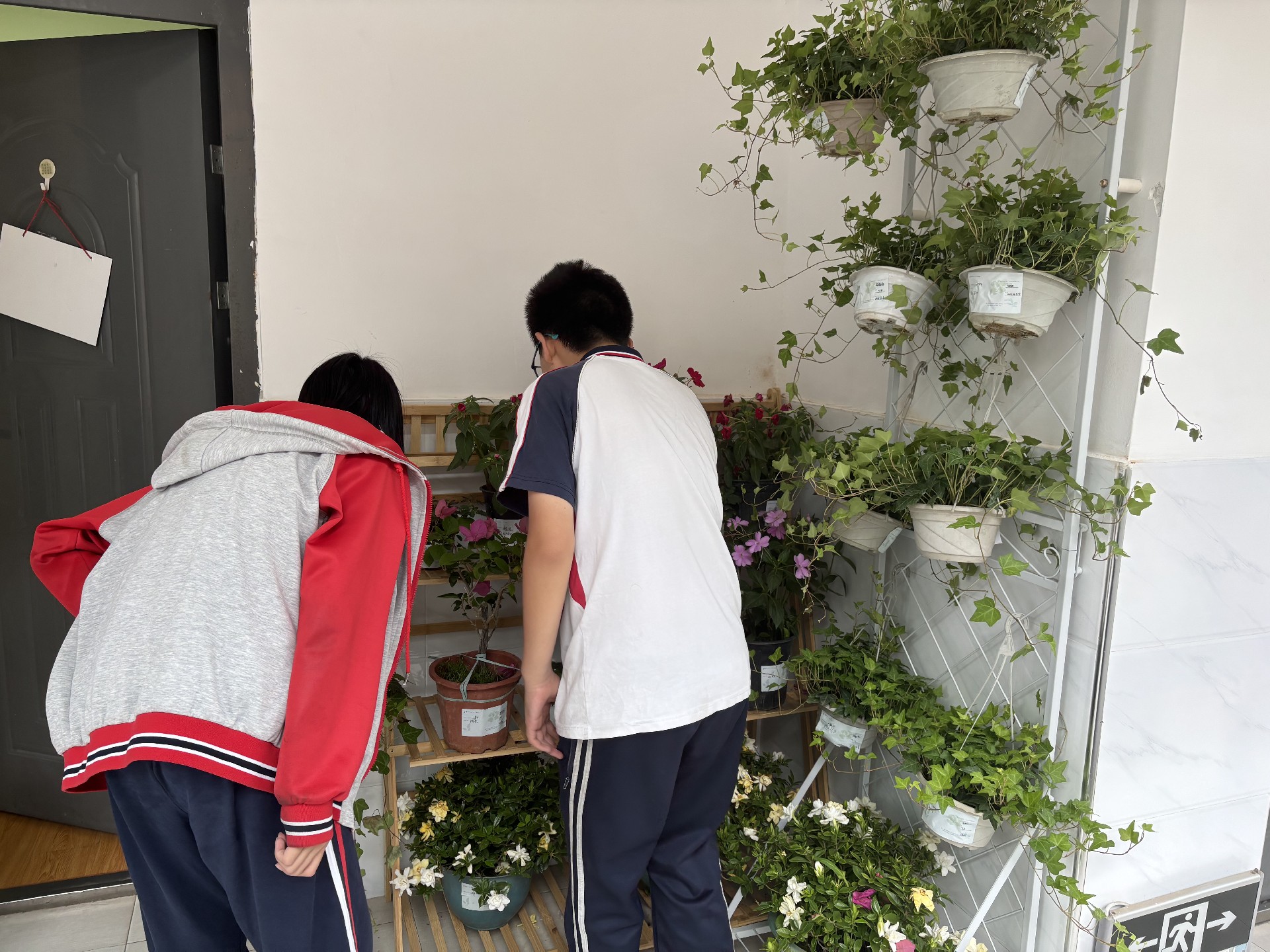 学生养护“生命树”4.JPG